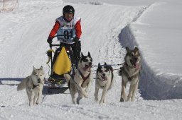 Kandersteg 2013